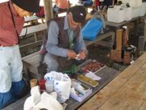 IMG_0070