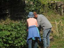 IMG_0061