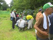 IMG_0054