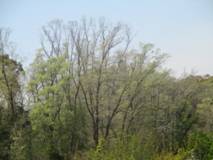 IMG_0065